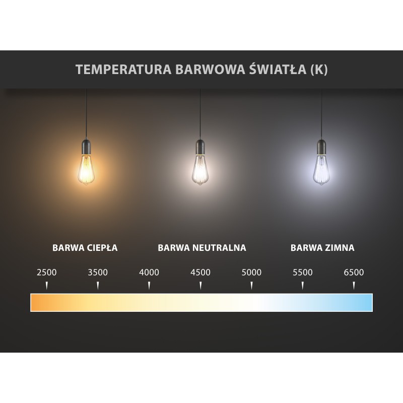 Mexen Nova 6x LED žiarovka E14, G45, 8W, Studená - 6500K, 840 lm - L101-E14-0865-01x06