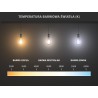 Mexen Vintis 3x Žiarovka filament LED E27, G45, 2W, Teplá - 2700K, 240 lm, číra - L156-E27-0227-00x03