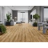 Mexen Beaver Creek vzorka vinylových panelov LVT Dryback 2,5 mm, PVC podklad, 4 V-drážka, Dub - F1302-S