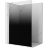 Mexen Kioto L sprchová stena Walk-in 120 x 200 cm, čierne ombre 8 mm, brúsený nikel - 800-120-103-97-76